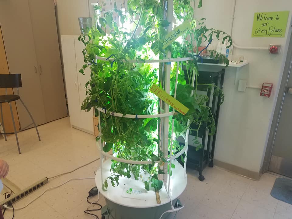 Hopewell Mini-Grant Aeroponics Tower Garden